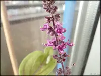 c011.webp