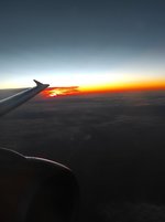 IMG_20240119_164917.jpg