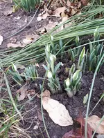 20240125_135517.webp