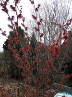 20240126_130509.jpg