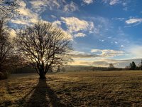 IMG_1802.jpeg
