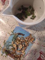 IMG_20240127_120116.jpg