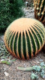 20240127_115346.jpg