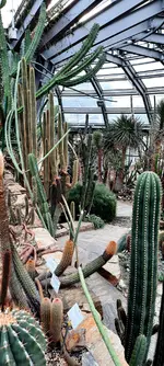 20240127_114217.webp