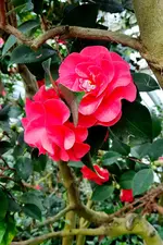 20240127_113339.webp