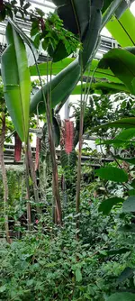 20240127_111716.webp