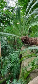 20240127_104718.webp