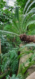 20240127_104718.jpg