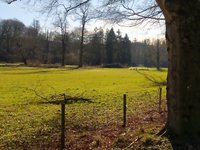 IMG_20240128_131943.jpg