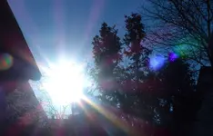 P1430011.webp