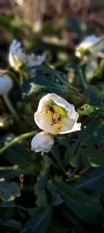 20240129_142459.webp