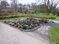 P1030164.JPG