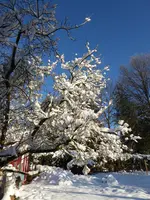 P1030240.webp