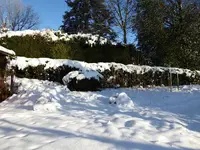 P1030241.webp