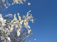 P1030242.webp