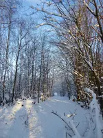 P1030261.webp