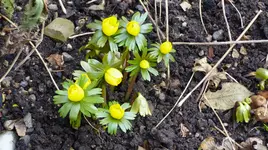 P1430015.webp