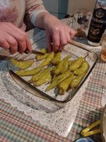 IMG-20240201-WA0005.jpg
