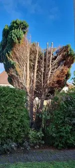 20231016_101606.webp