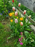 20240202_112352.webp