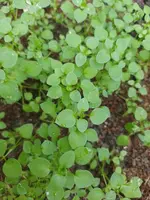 IMG_20231021_154632.webp IMG_20231021_154632.webp