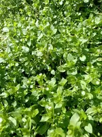 IMG_20230329_145600.webp IMG_20230329_145600.webp