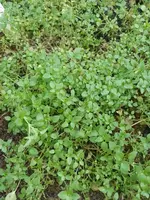 IMG_20240120_123216.webp IMG_20240120_123216.webp