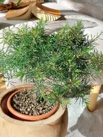 20240204_122623.webp