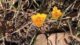 IMG_9198.jpeg
