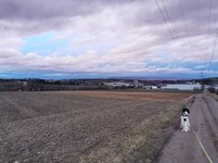 IMG_20240204_170644.jpg