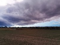 IMG_20240204_170653.jpg