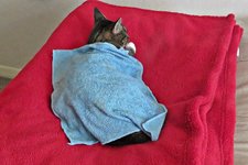 IMG_5186 v (2).JPG