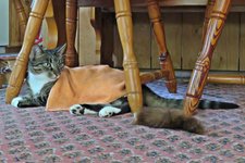 IMG_5112 v (2).JPG