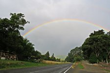 IMG_5142 v (2).JPG