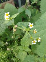 IMG_20231021_154722.jpg