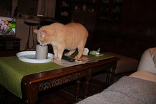 Tasse 0224.JPG