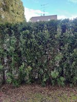 IMG_20240208_090533.jpg