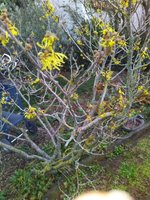 IMG_20240209_102051.jpg