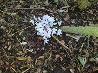 IMG_20240209_102125.jpg