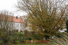 Nov.    1021.JPG