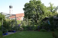 Mai    3223.webp