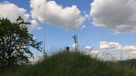 IMG_20220610_181442.jpg