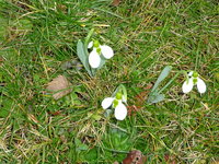 DSC03279.JPG