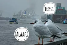 8ac9a74af2045ab1dbf8ed621e23e89e.webp