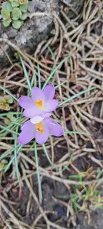 20240210_140023.webp