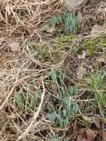 P1050190.webp