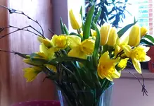 P1430115.webp