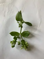 IMG_3898.webp IMG_3898.webp