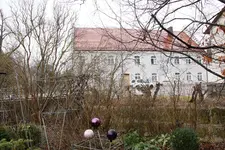 Fliederrückschnitt 0224.webp