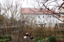 Fliederrückschnitt 0224.JPG